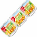 Gut&Günstig Mexikanische Gemüsemischung VPE (12x150g Dose) + usy Block