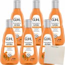 GUHL Shampoo Feuchtigkeitsaufbau Nährend für trockenes und sprödes Haar 6er Pack (6x250ml Flasche) + usy Block