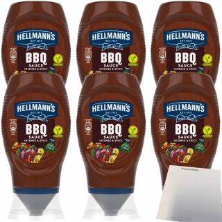 Hellmann´s Grillsauce BBQ Sauce 6er Pack (6x250ml Flasche) + usy Block