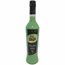 Marcati-Pistazien-Panna Italienischer Sahnelikör aus Pistazien 17% vol. 6er Pack (6x0,5 Liter Flasche) + usy Block