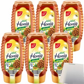 Gut&Günstig Waldhonig flüssig kräftig-würzig 6er Pack (6x500g Squeeze-Flasche) + usy Block
