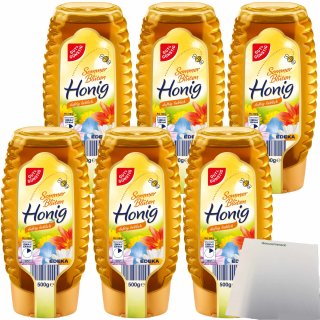 Gut&Günstig Sommerblütenhonig duftig-lieblich 6er Pack (6x500g Squeeze-Flasche) + usy Block