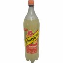 Schweppes Agrum Limonade mit dem Geschmack von Zitrusfrüchten 6er Pack (6x1,5 Liter PET Flasche) + usy Block