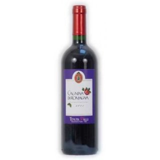 Cagnina di Romagna Lambrusco Secco Foieta italienischer Rotwein (0,75l Flasche)