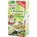 Knorr Minestrone mit 12 Sorten Gemüse (500g Packung)