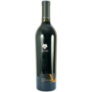 Grave del Friuli refosco dal peduncolo rosso italienischer Rotwein (0,75l Flasche)