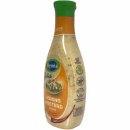 Remia Honig-Senf Salat Dressing 3er Pack (3x450ml Tube) + usy Block