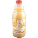 Delizia Fruchtsaft Birne (1l Flasche)