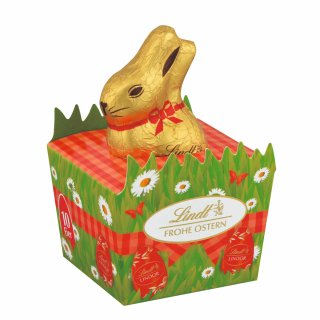 55G LINDT GOLDHASEMINI NEST