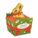 55G LINDT GOLDHASEMINI NEST