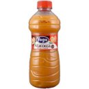 Yoga Fruchtsaft Albicocca Aprikose (1l Flasche)