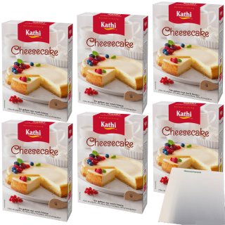 Kathi Backmischung Cheesecake Käsekuchen 6er Pack (6x420g Packung) + usy Block