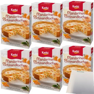 Kathi Backmischung für Mandarinen Schmandkuchen 6er Pack (6x460g Packung) + usy Block