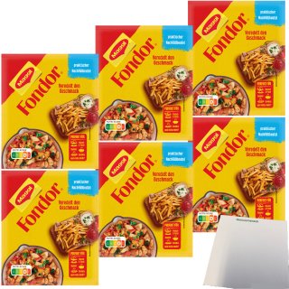 Maggi Fondor Nachfüllbeutel 6er Pack (6x100g Beutel) + usy Block