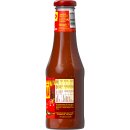 Texicana Salsa Tomaten Chili Sauce 3er Pack (3x500ml Flasche) + usy Block