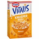 Dr. Oetker Vitalis Knusper Müsli Honeys 6er Pack (6x600g Packung) + usy Block