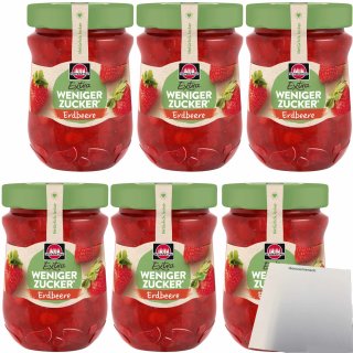 Schwartau Extra Weniger Zucker Erdbeere Fruchtaufstrich 6er Pack (6x300g Glas) + usy Block