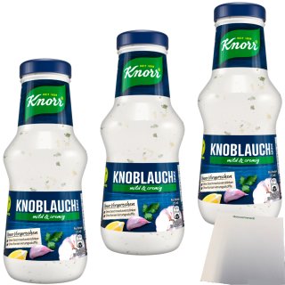 Knorr Knoblauchsauce mit Zwiebelstückchen und Joghurt mild und cremig 3er Pack (3x250ml Flasche) + usy Block