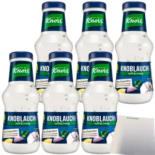 Knorr Knoblauchsauce mit Zwiebelstückchen und Joghurt mild und cremig 6er Pack (6x250ml Flasche) + usy Block