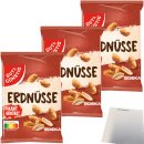 Gut&Günstig Erdnüsse pikant gewürzt 3er Pack (3x150g Packung) + usy Block