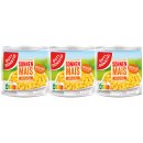 Gut&Günstig Sonnenmais zart und jung natursüß 3er Pack (9x150 Dose) + usy Block