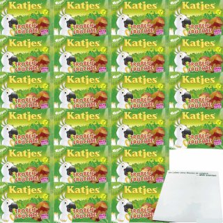 Katjes Tropen Früchte 22er Pack (22x175g Packung) + usy Block