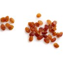 Seeberger Sultaninen ohne Zuckerzusatz fruchtiger Geschmack 3er Pack (3x200g Packung) + usy Block