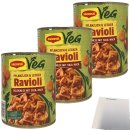 Maggi Ravioli Bolognese mit Soja-Hack vegan 3er Pack (3x800g Dose) + usy Block