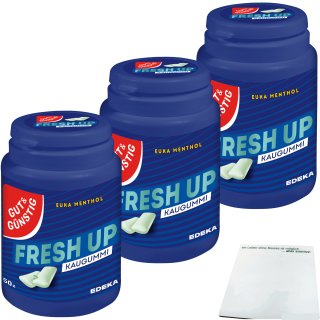 Gut&Günstig Kaugummi Euka-Menthol Zuckerfrei mit Menthol und Eukalyptusgeschmack 3er Pack (3x50 Stk. Dose) + usy Block
