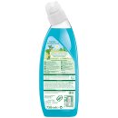 Frosch WC Reiniger Meeresmineralien 3er Pack (3x750ml Flasche) + usy Block