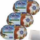 Rügenfisch Heringsfilet in Paprika Creme 3er Pack...