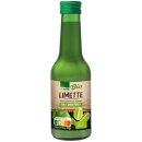 Edeka Bio Limettensaft 100% Direktsaft ideal zum Mixen und Würzen 6er Pack (6x200ml Flasche) + usy Block