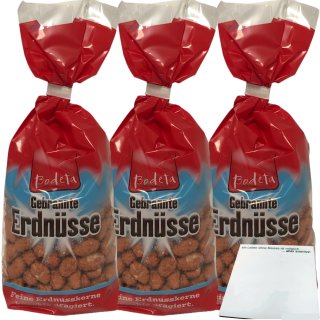 Bodeta gebrannte Erdnüsse Erdnusskerne knackig dragiert 3er Pack (3x175g Packung) + usy Block