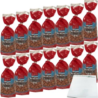 Bodeta gebrannte Erdnüsse Erdnusskerne knackig dragiert VPE (14x175g Packung) + usy Block