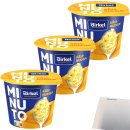 Birkel Minuto Käse-Nudeltopf 3er Pack (3x70g Packung) + usy Block