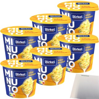 Birkel Minuto Käse-Nudeltopf 6er Pack (6x70g Packung) + usy Block