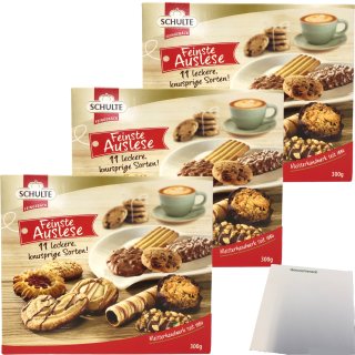 Schulte Feinste Auslese Gebäckmischung Kekse 11 leckere Sorten 3er Pack (3x300g Packung) + usy Block