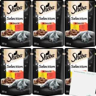 Sheba Selection in Sauce mit Huhn & Rind 6er Pack (6x85g Packung) + usy Block