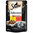 Sheba Selection in Sauce mit Huhn & Rind 28er Pack (28x85g Packung) + usy Block