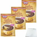 Dr.Oetker Seelenwärmer Familie Schokolade 3er Pack...