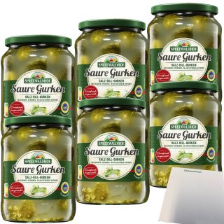 Spreewaldhof Salz-Dill-Gurken in naturtrüben Aufguss 6er Pack (6x720g Glas) + usy Block