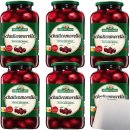 Spreewaldhof Bio-Schattenmorellen 6er Pack (6x540g Glas)...