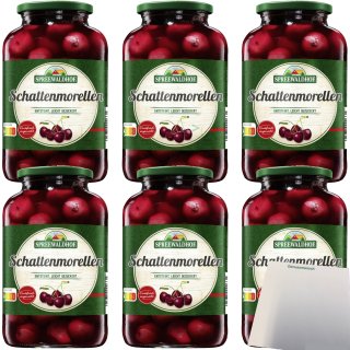 Spreewaldhof Schattenmorellen ohne Stein leicht gezuckert 6er Pack (6x680g Glas) + usy Block