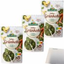 Spreewaldhof Grünkohl Fix und Fertig mit Kartoffelstückchen und Schmalz 3er Pack (3x400g Packung) + usy Block