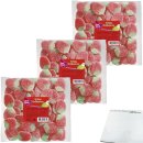 Red Band Wilde Erdbeeren 3er Pack (3x500g Beutel) + usy...