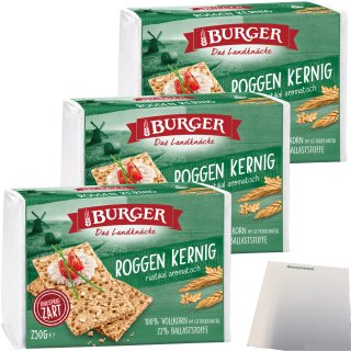 Burger das Landknäcke Roggen Kernig rustikal aromatisch 3er Pack (3x250g Packung) + usy Block