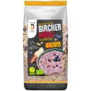 Team D Bio Bircher Müsli Heidelbeere 6er Pack (6x500g Beutel) + usy Block