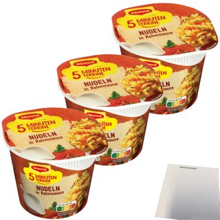 Maggi 5 Minuten Terrine Nudeln in Rahmsoße 3er Pack (3x61g Packung) + usy Block
