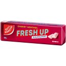 Gut&Günstig Kaugummi Cherry-Menthol Zuckerfrei 10er Pack (10x10 Stck. Packung) + usy Block