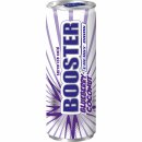 Booster Energy Drink Blueberry-Coconut DPG (24x330ml Dose)